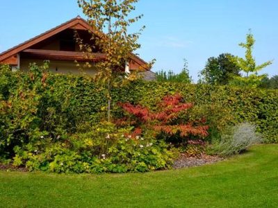 Achieving Level Ground: Expert Landscape Grading in Mount Prospect